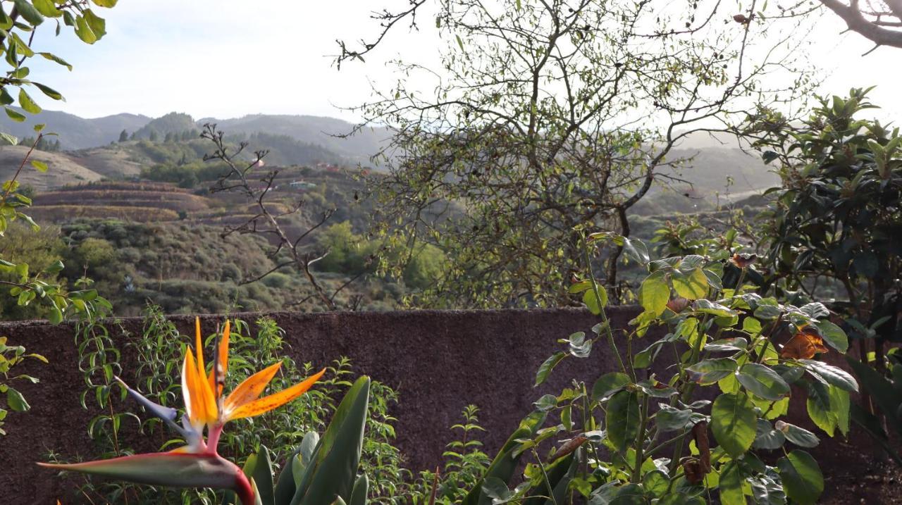Casa Rural En San Mateo Las Palmas de Gran Canaria Zewnętrze zdjęcie