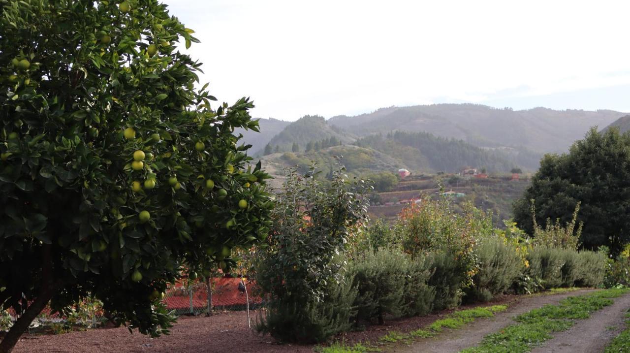 Casa Rural En San Mateo Las Palmas de Gran Canaria Zewnętrze zdjęcie
