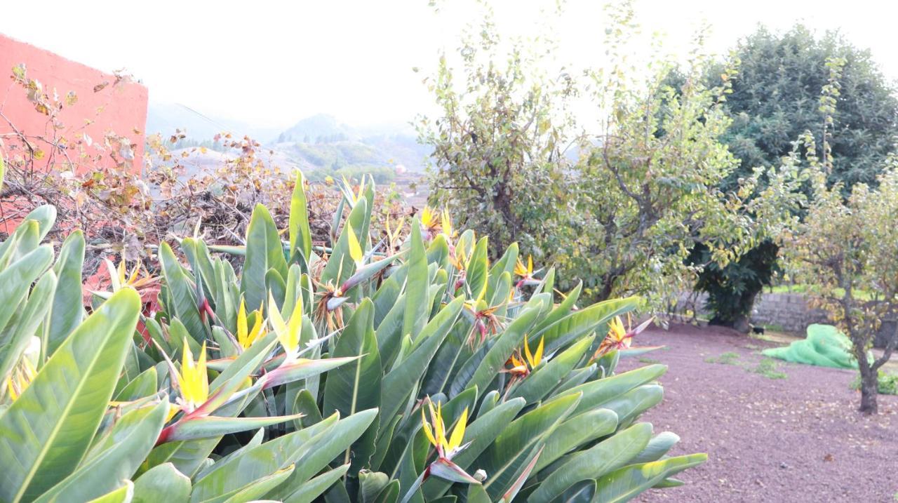 Casa Rural En San Mateo Las Palmas de Gran Canaria Zewnętrze zdjęcie