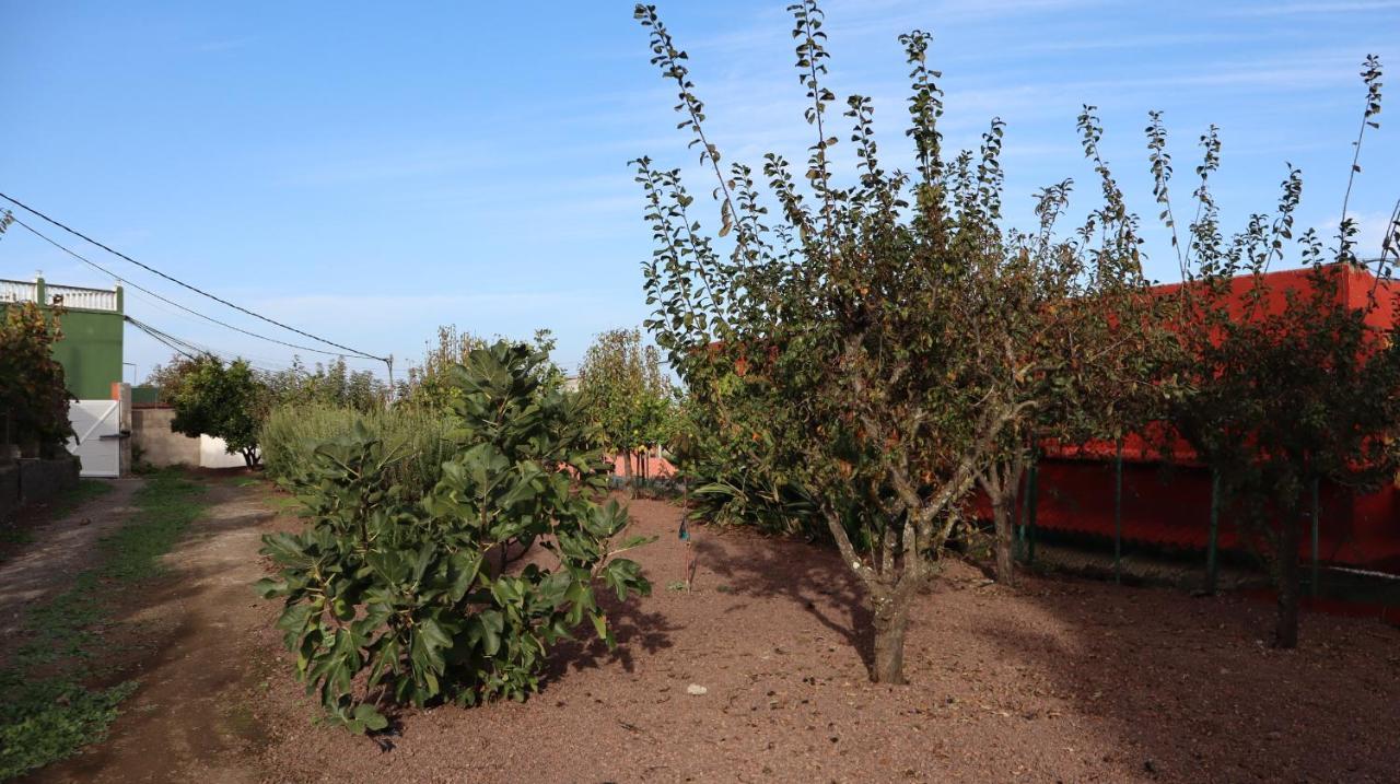 Casa Rural En San Mateo Las Palmas de Gran Canaria Zewnętrze zdjęcie