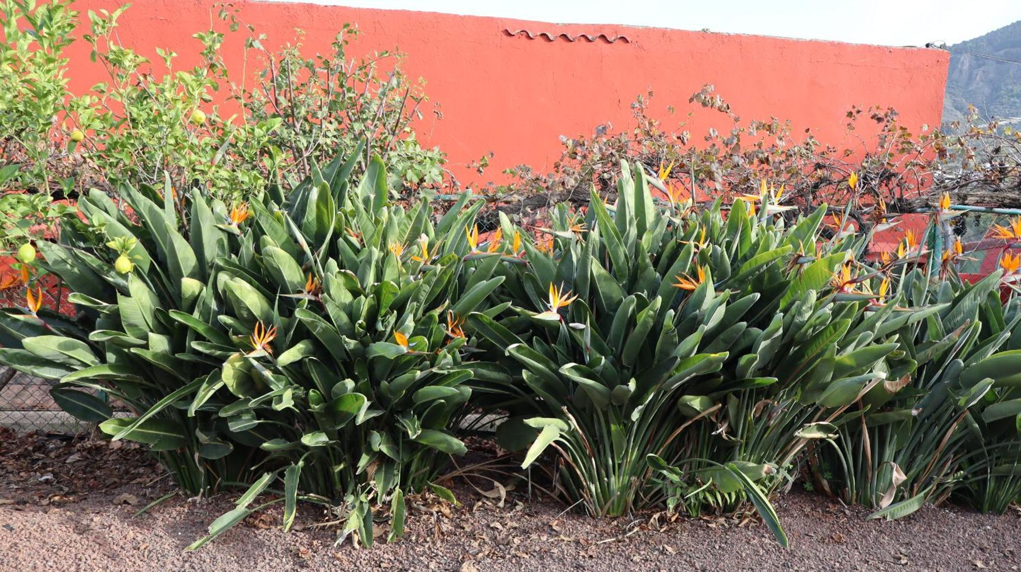 Casa Rural En San Mateo Las Palmas de Gran Canaria Zewnętrze zdjęcie