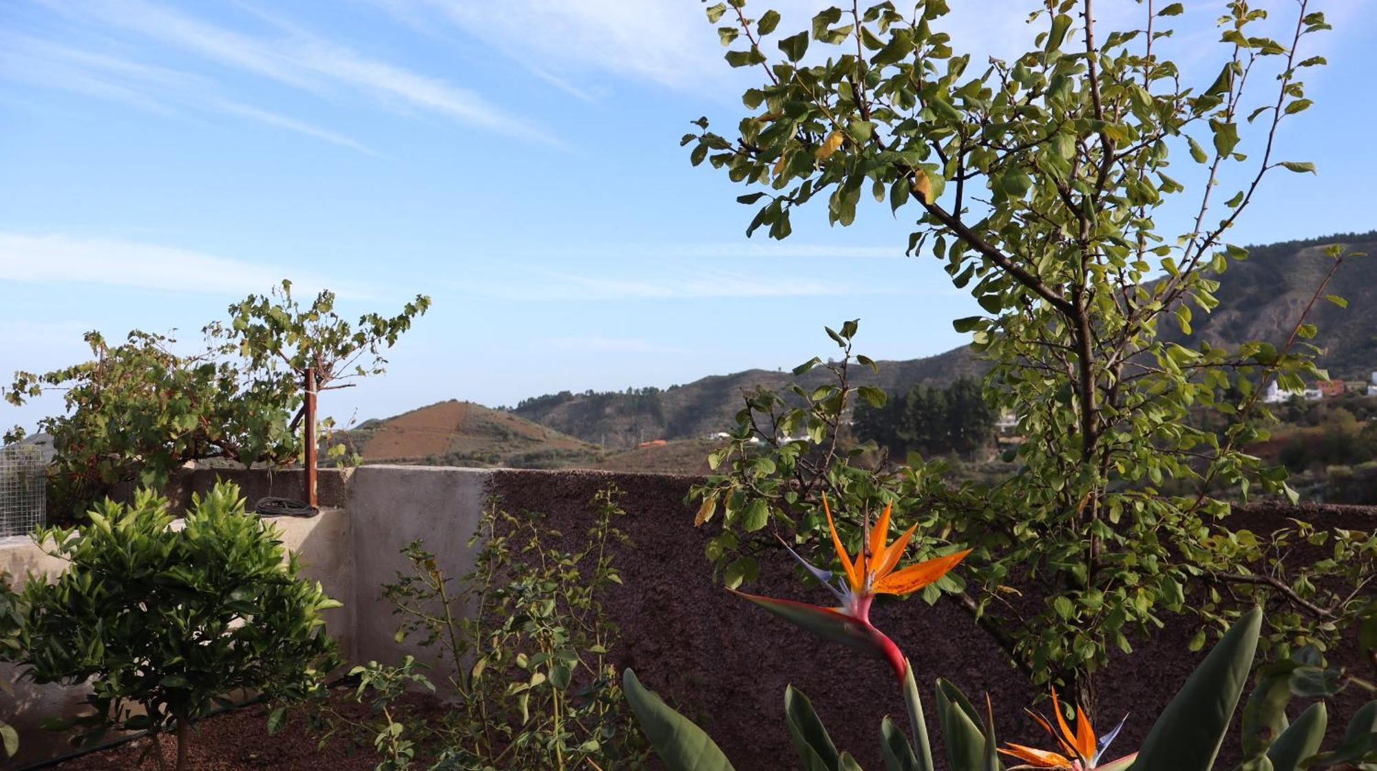 Casa Rural En San Mateo Las Palmas de Gran Canaria Zewnętrze zdjęcie