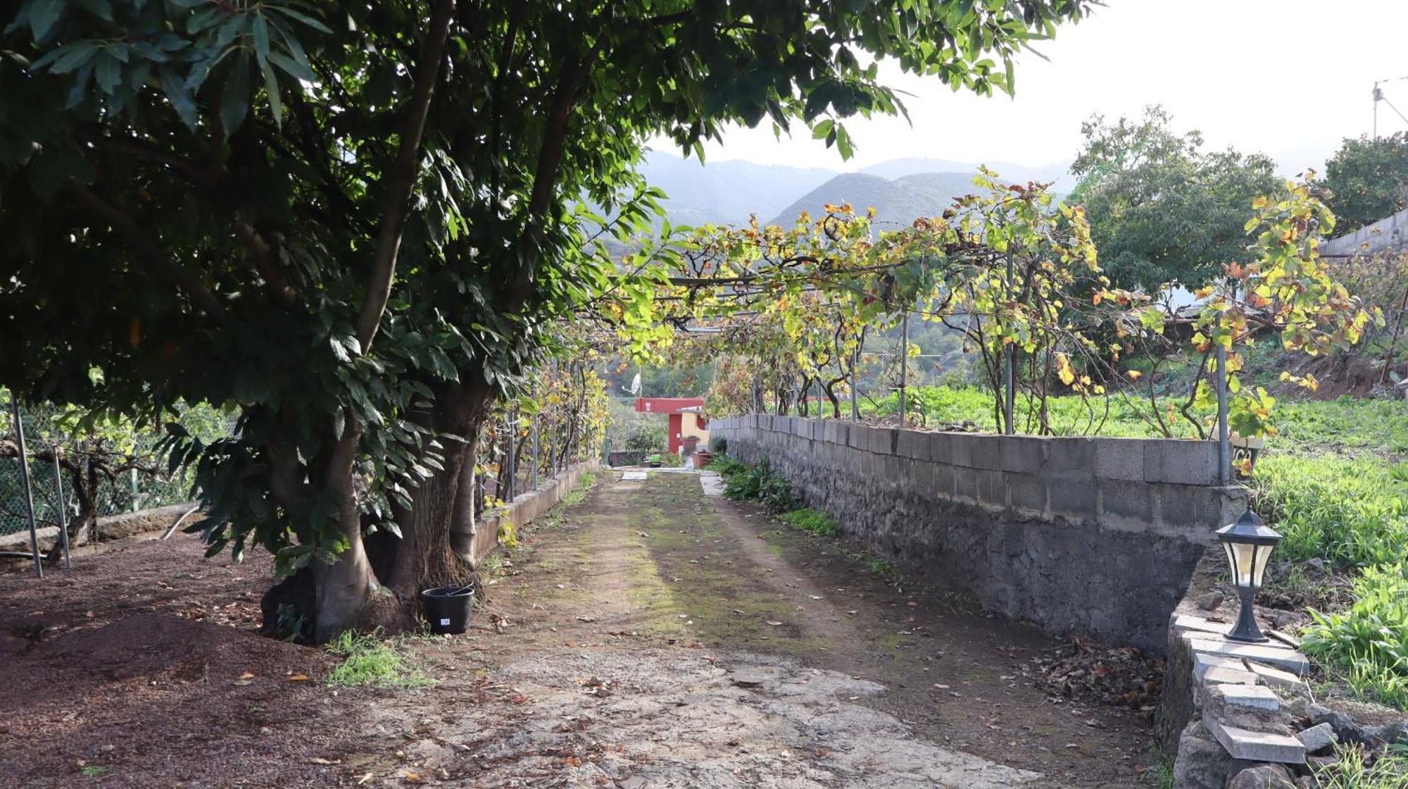 Casa Rural En San Mateo Las Palmas de Gran Canaria Zewnętrze zdjęcie