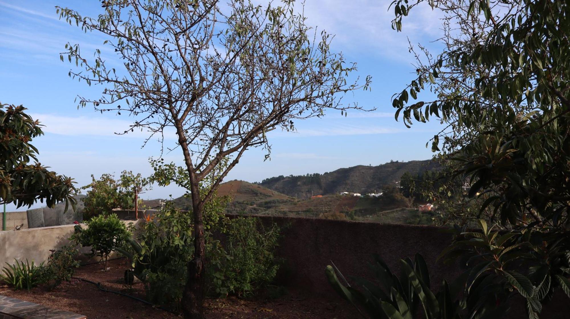 Casa Rural En San Mateo Las Palmas de Gran Canaria Zewnętrze zdjęcie